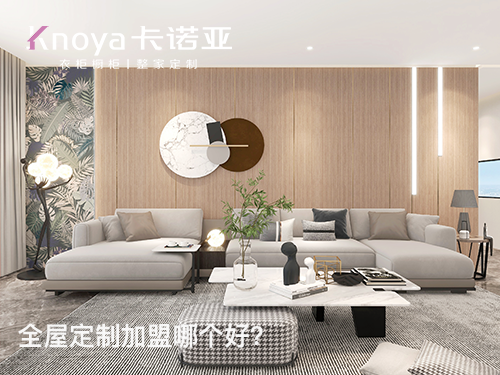 2023年河北全屋定制加盟選什么品牌好？